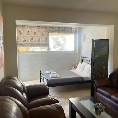 Cassiopeia 2-beds Lower On With Pool Apartman Hriszí Aktí Haniá